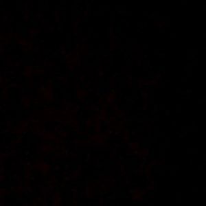 Meet your Posher, Jazmyn